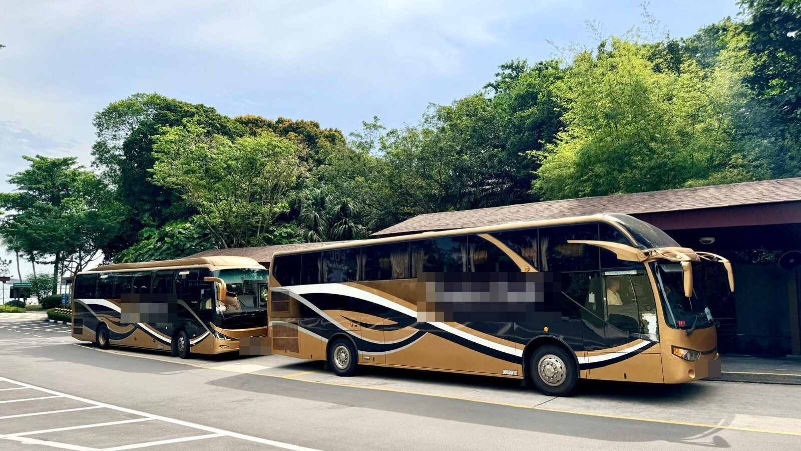 Bus charter Singapore — 45 seater coach fleet